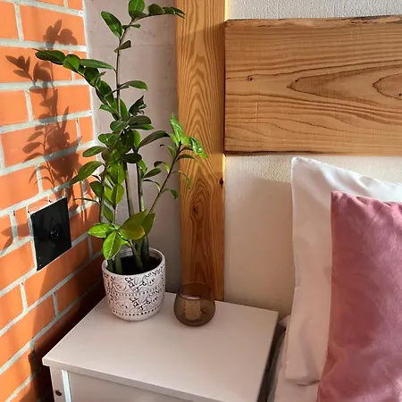 Apartment Liisupesa With Sauna And Garden