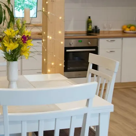 Liisupesa With Sauna And Garden