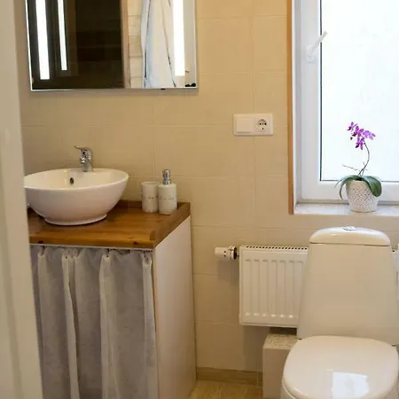 Lejlighed Liisupesa With Sauna And Garden *