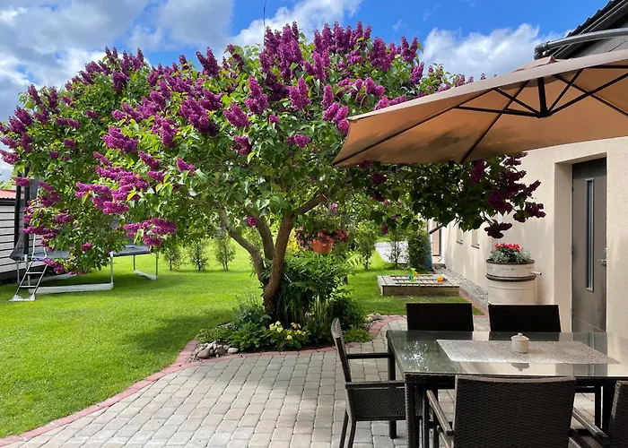 Liisupesa With Sauna And Garden アパート パルヌ